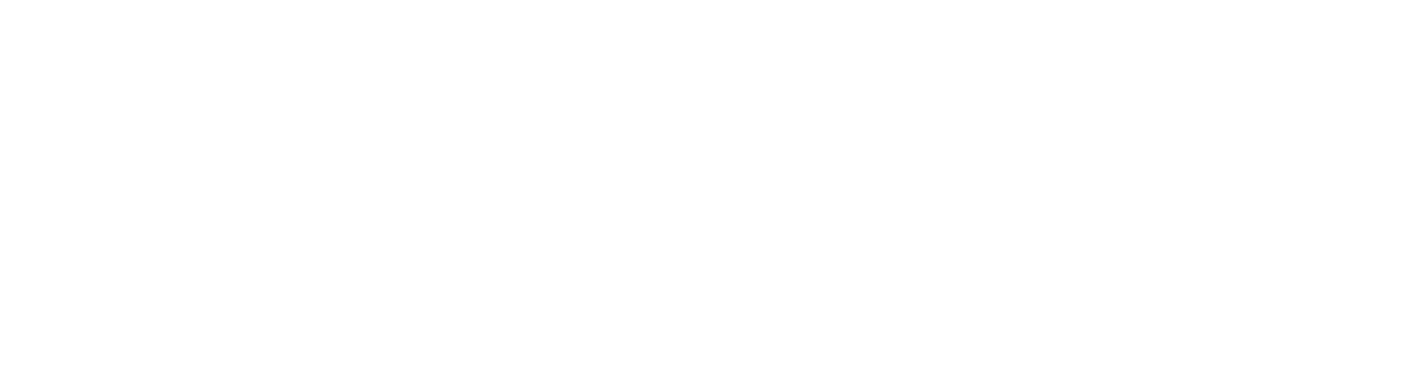 Neas Logotype White