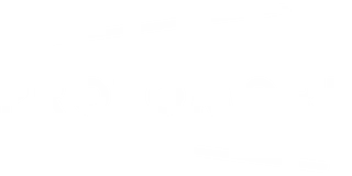 Protomore Logo